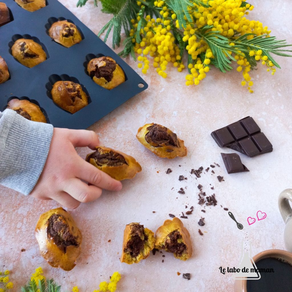 madeleines marbrées companion