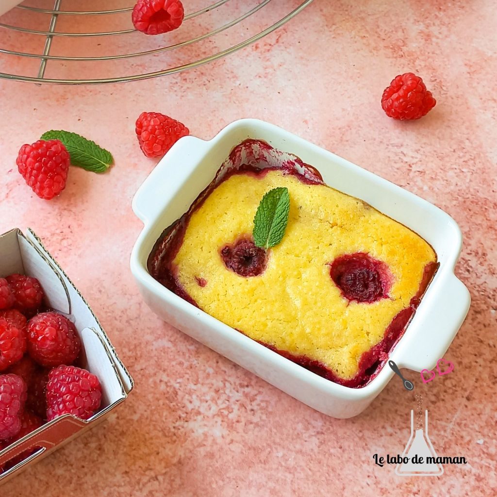 gratin facile fruits express