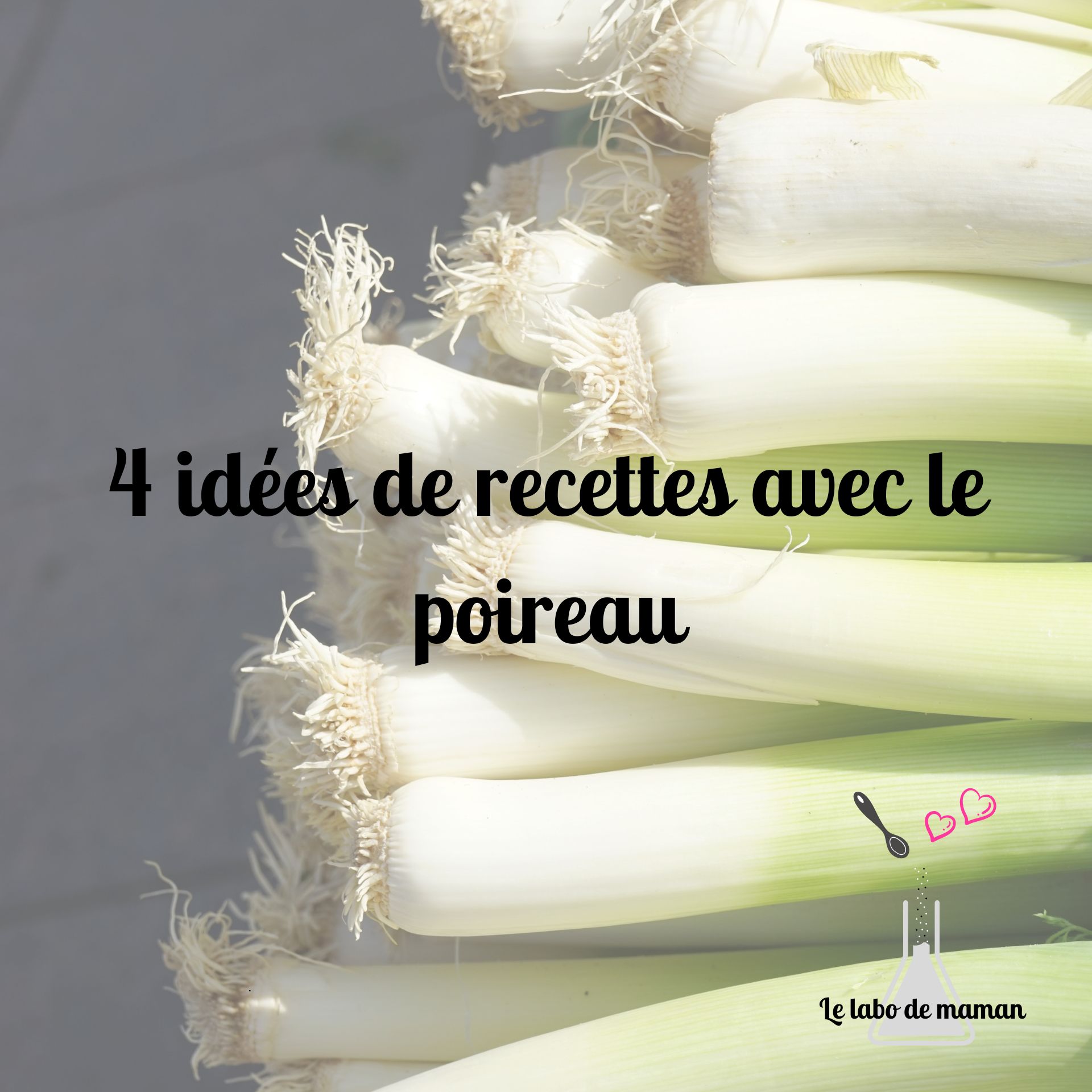 Quelle Epice Avec Poireau 19 Recettes Pour Déguster Le Poireau 21 4 recettes pour cuisiner le poireau