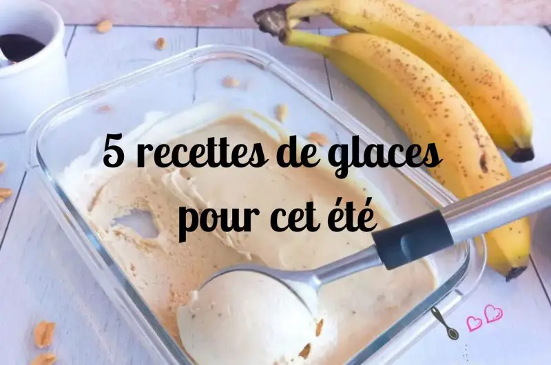 Yaourt glacé aux fruits rouges (companion ou non)