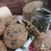 cookies graines chocolat igbas