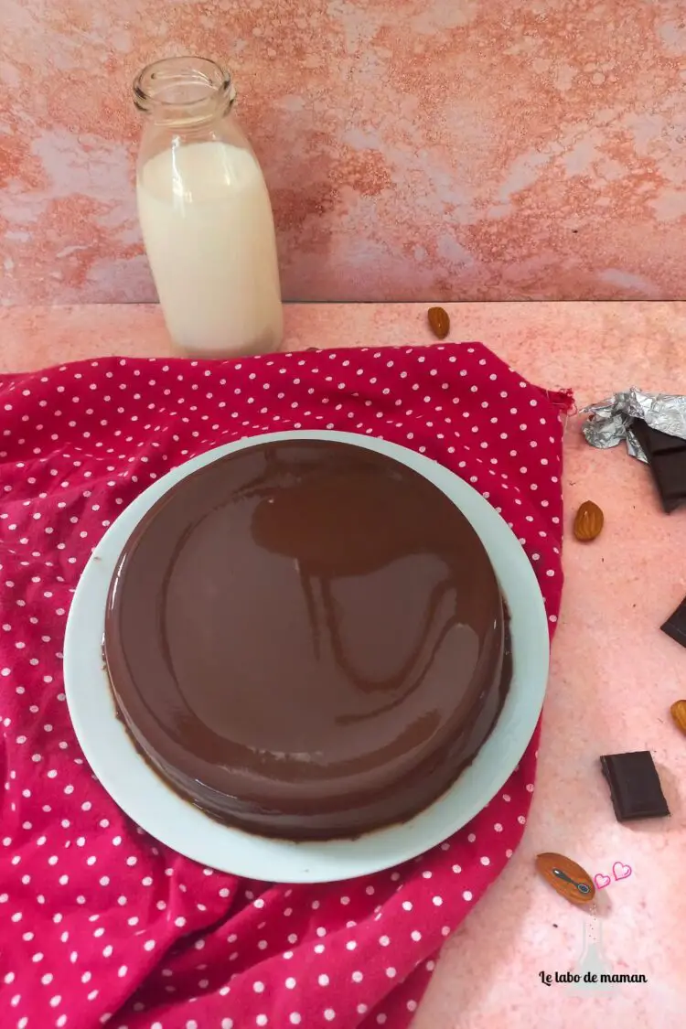 flan chocolat sans oeuf