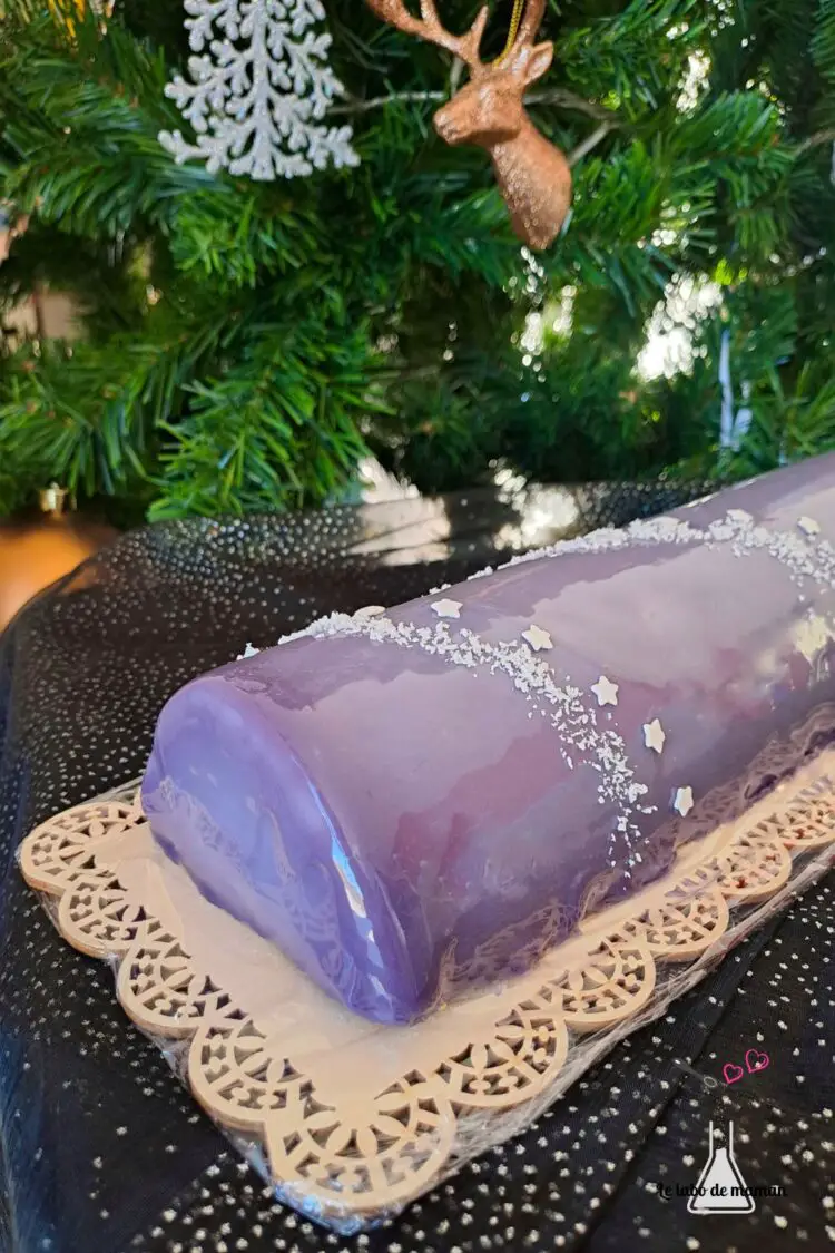 bûche insert vanille bavaroise myrtille