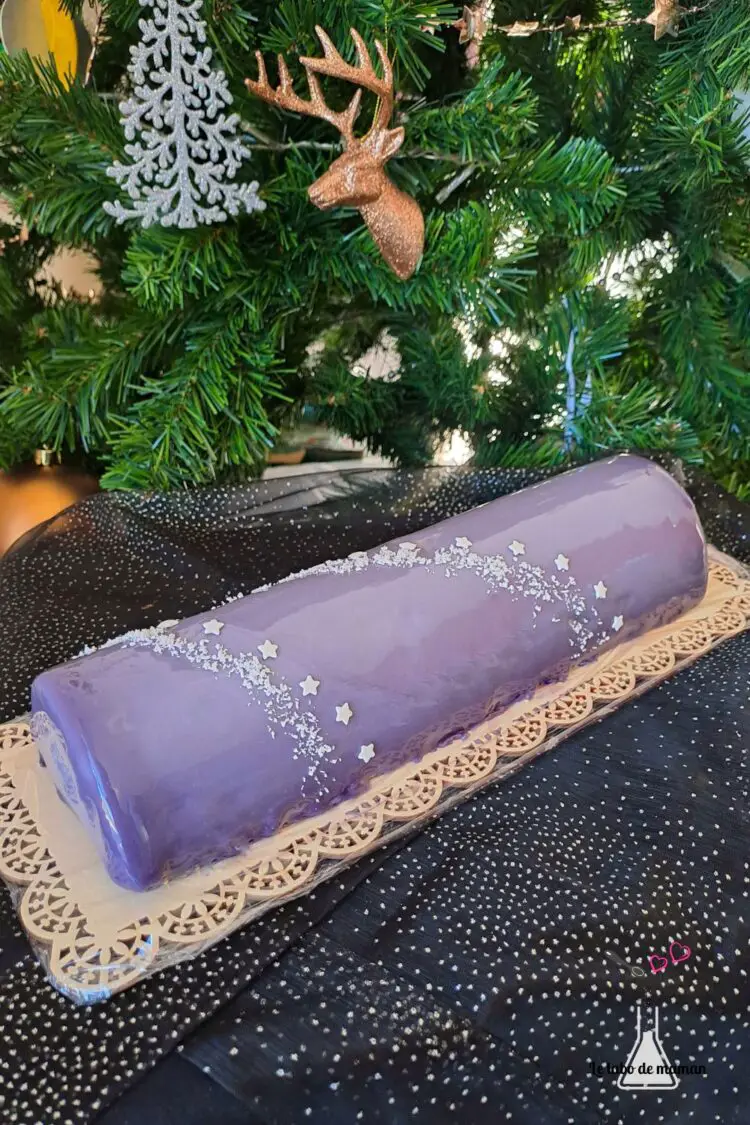 bûche insert vanille bavaroise myrtille